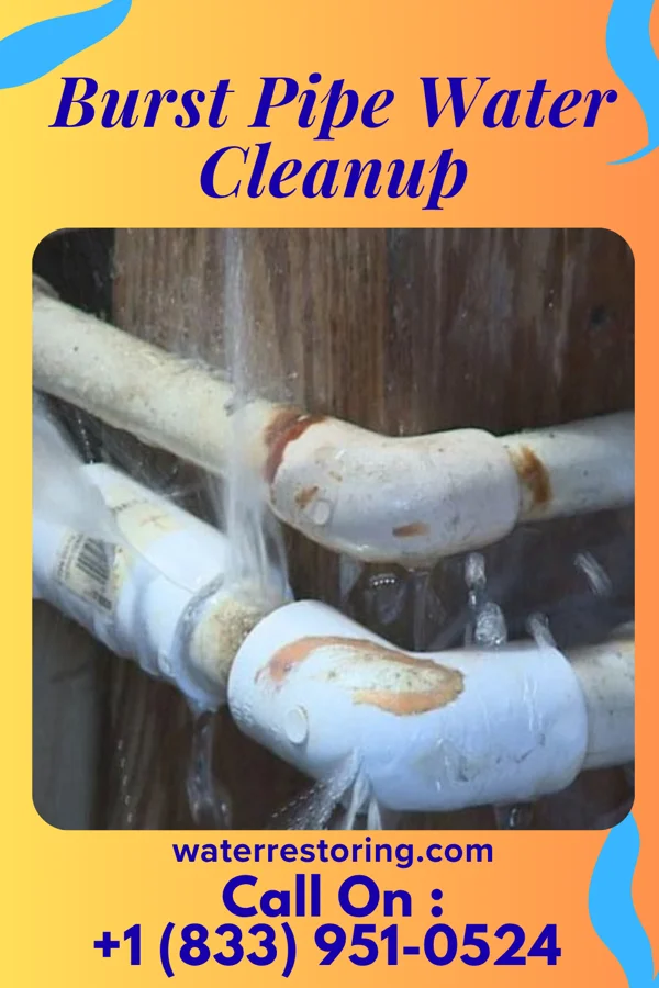 Burst Pipe Water Cleanup in Fieldsboro, NJ