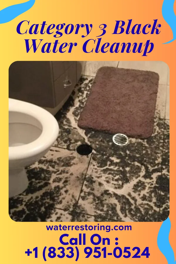 Category 3 Black Water Cleanup in Fieldsboro, NJ