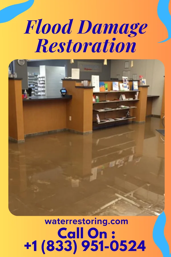 Flood Damage Restoration in Fieldsboro, NJ
