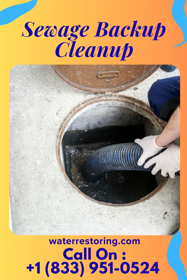 Sewage Backup Cleanup in Fieldsboro, NJ