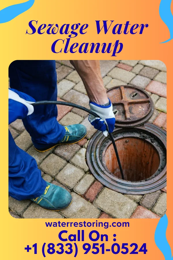 Sewage Water Cleanup in Fieldsboro, NJ