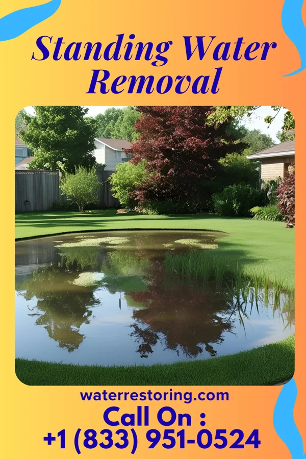 Standing Water Removal in Fieldsboro, NJ